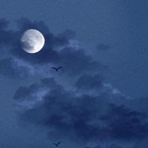 免费看裸体🔞🔞🔞网站阳水
